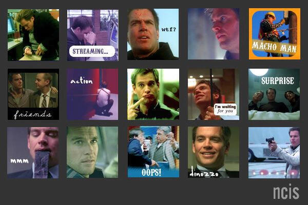 NCIS LJ Icons